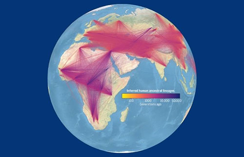 有史以来最大的人类家谱追溯了我们物种的历史